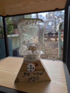 במרכז המייקרס בכפר הנוער רמת הדסה